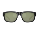 101 LARGE, Black-Mineral Polarized Onyx Cat 3 to 3, hi-res image number null